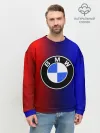 Мужской свитшот базовый / BMW SPORT ABSTRACT