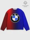 Мужской свитшот базовый / BMW SPORT ABSTRACT