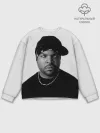 Мужской свитшот базовый / Ice Cube