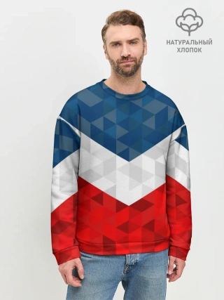 Мужской свитшот базовый / Форма России