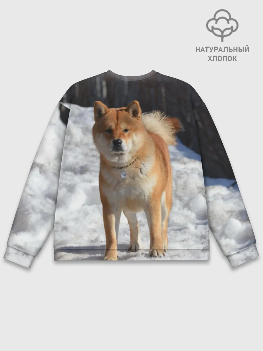 Мужской свитшот базовый / Акита-ину