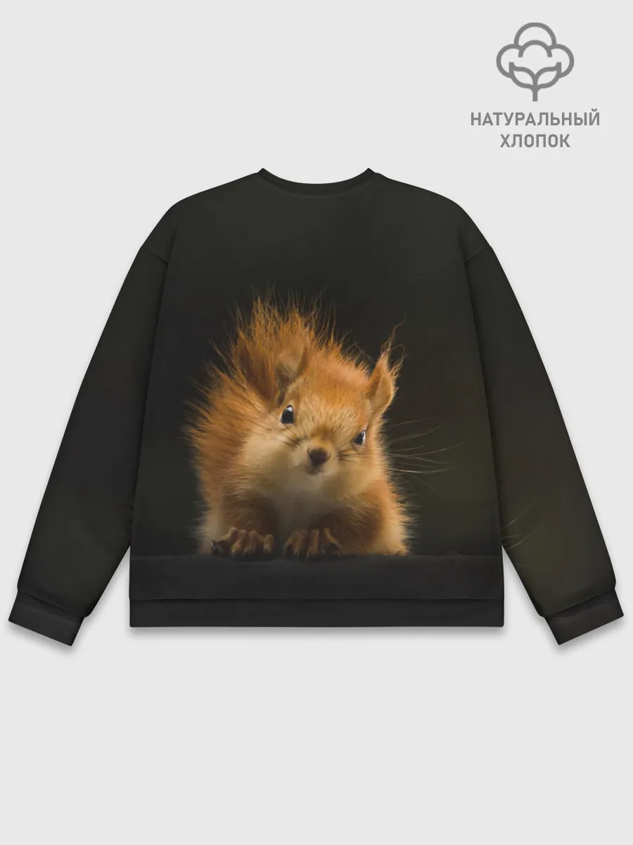 Мужской свитшот базовый / Белочка