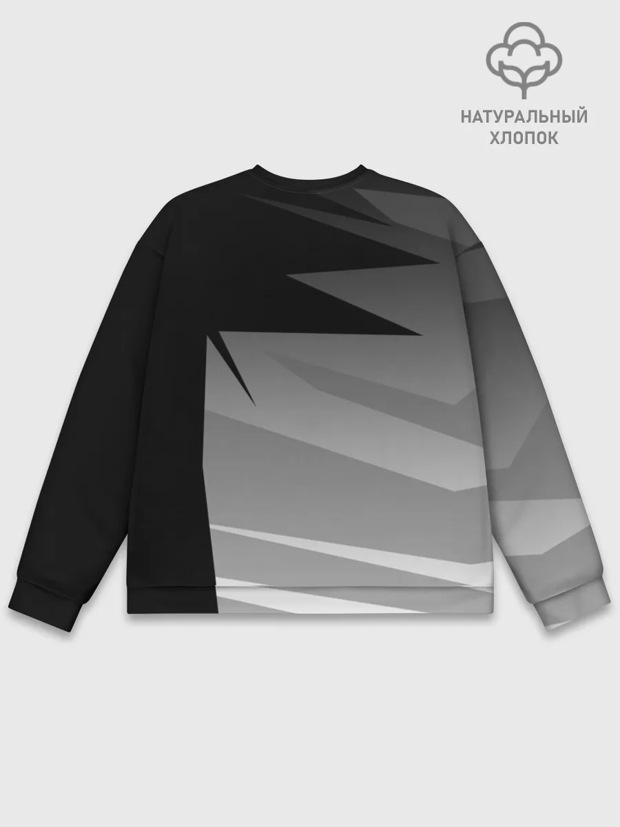 Мужской свитшот базовый / BMW 2018 SPORT