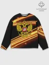 Мужской свитшот базовый / Russia collection