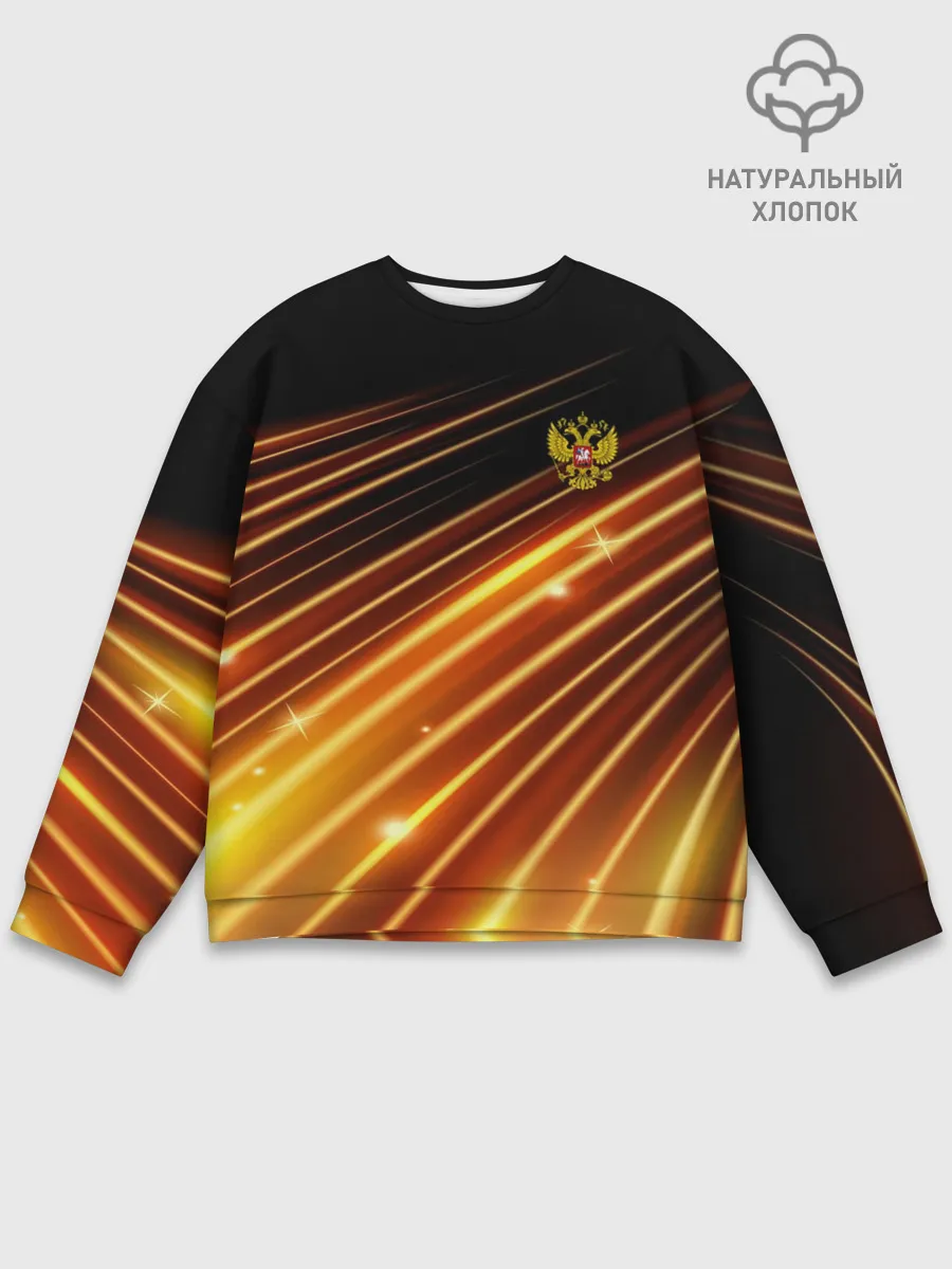 Мужской свитшот базовый / Russia Sport 2018 uniform