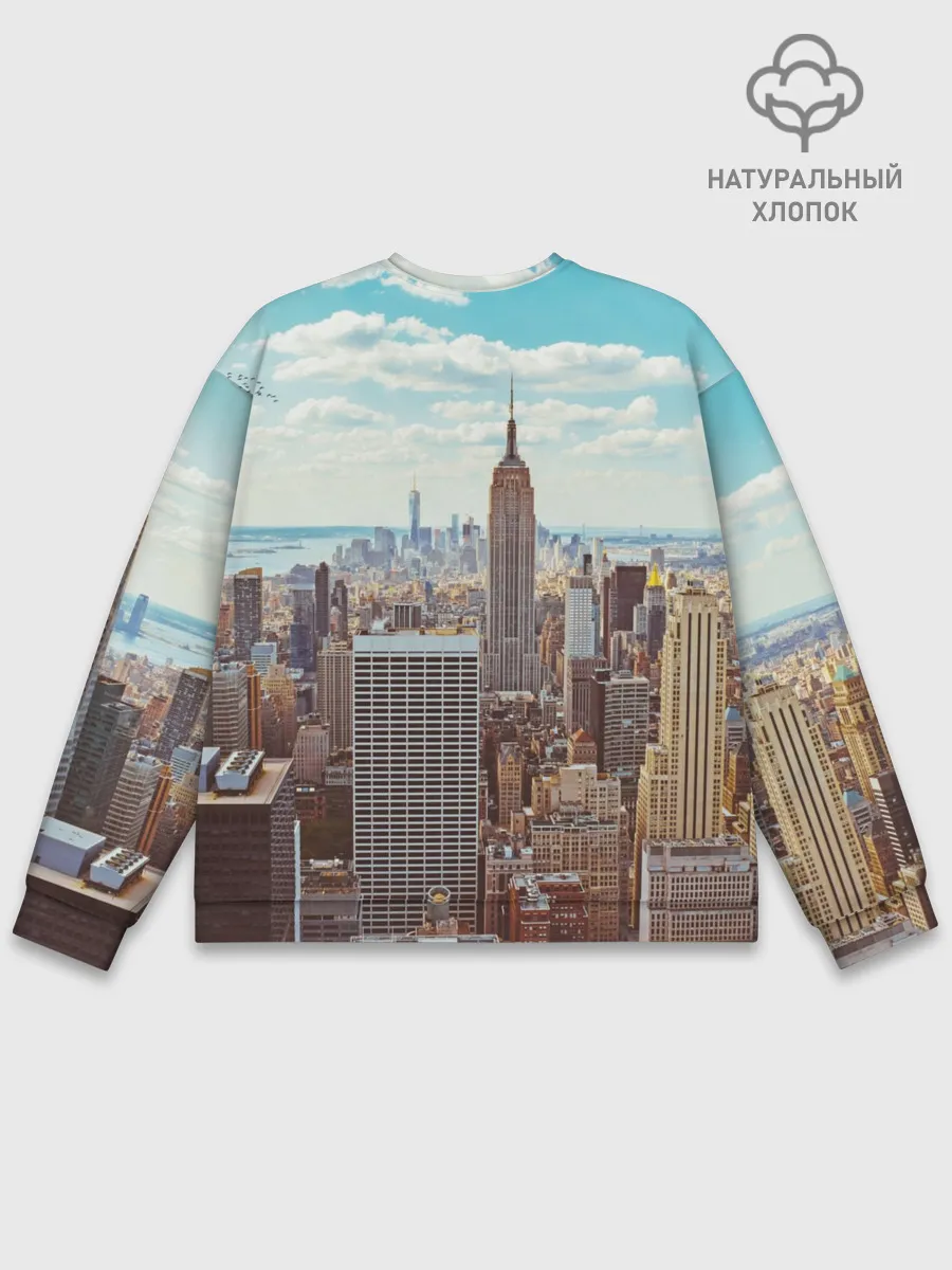 Мужской свитшот базовый / Столица мира