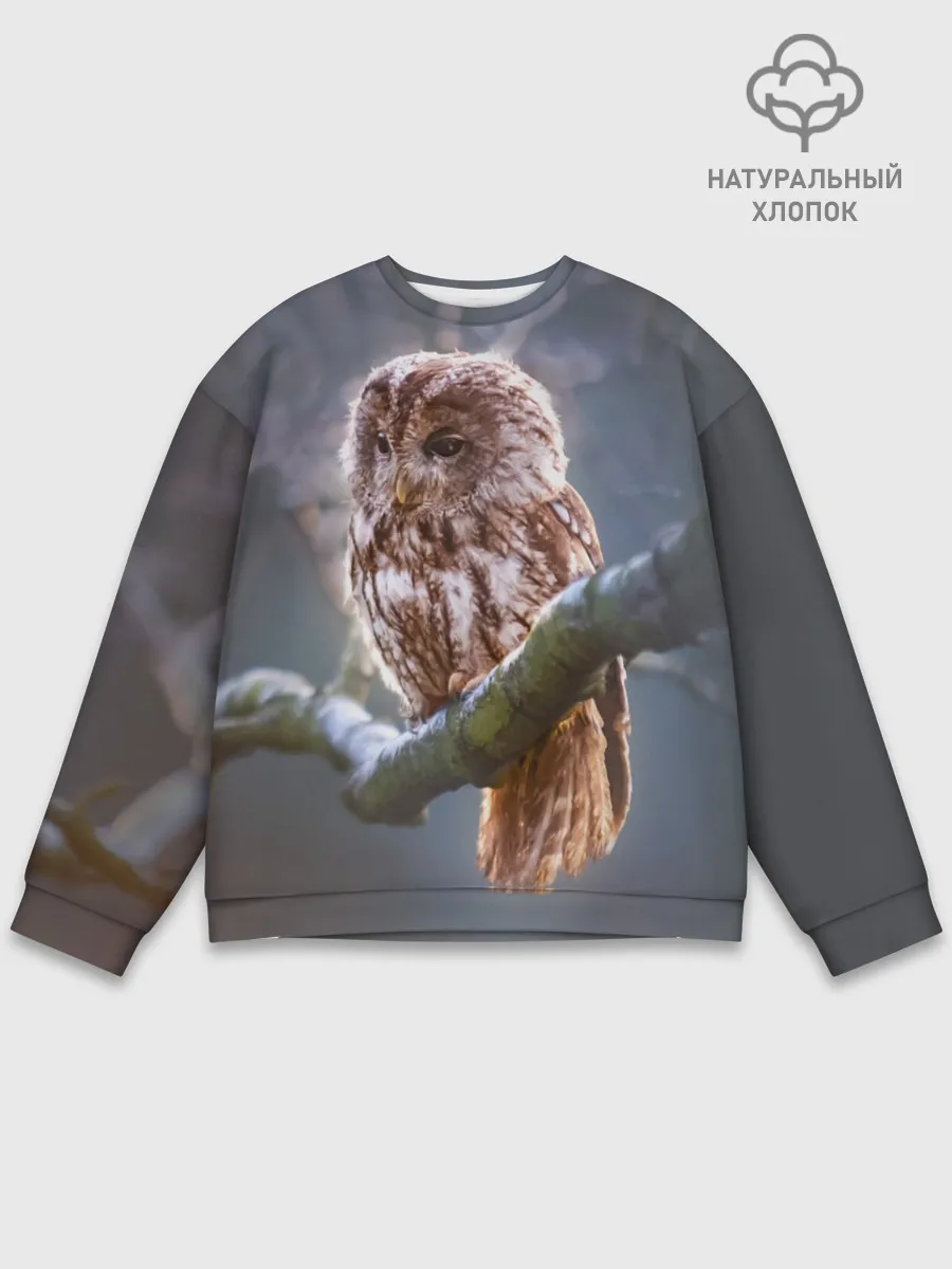 Мужской свитшот базовый / Сова