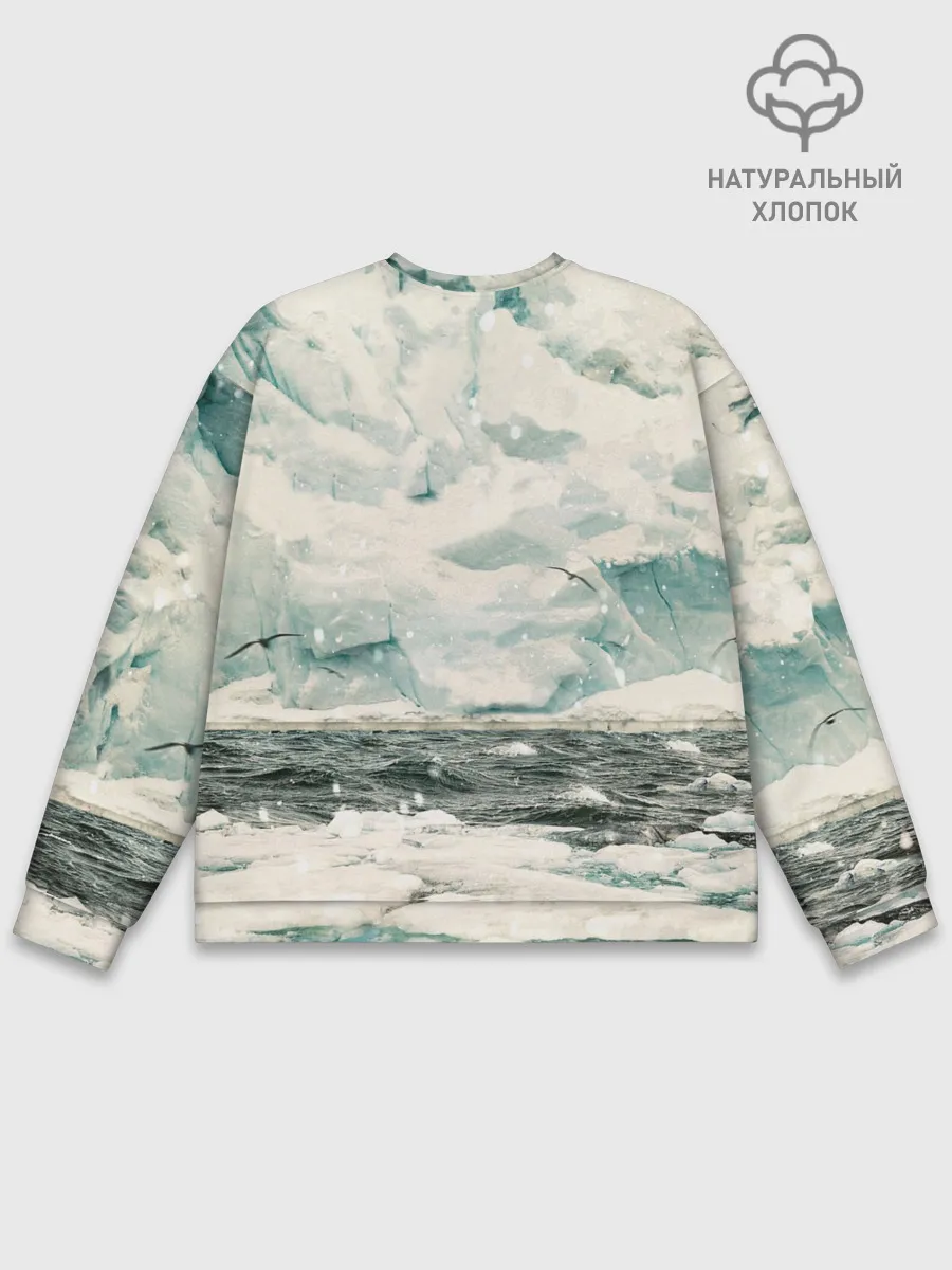 Мужской свитшот базовый / Ледокол Вега