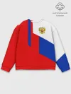 Мужской свитшот базовый / RUSSIA SPORT | РОССИЯ ТРИКОЛОР