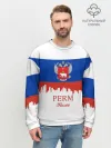 Мужской свитшот базовый / Perm