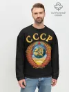 Мужской свитшот базовый / Советский Союз