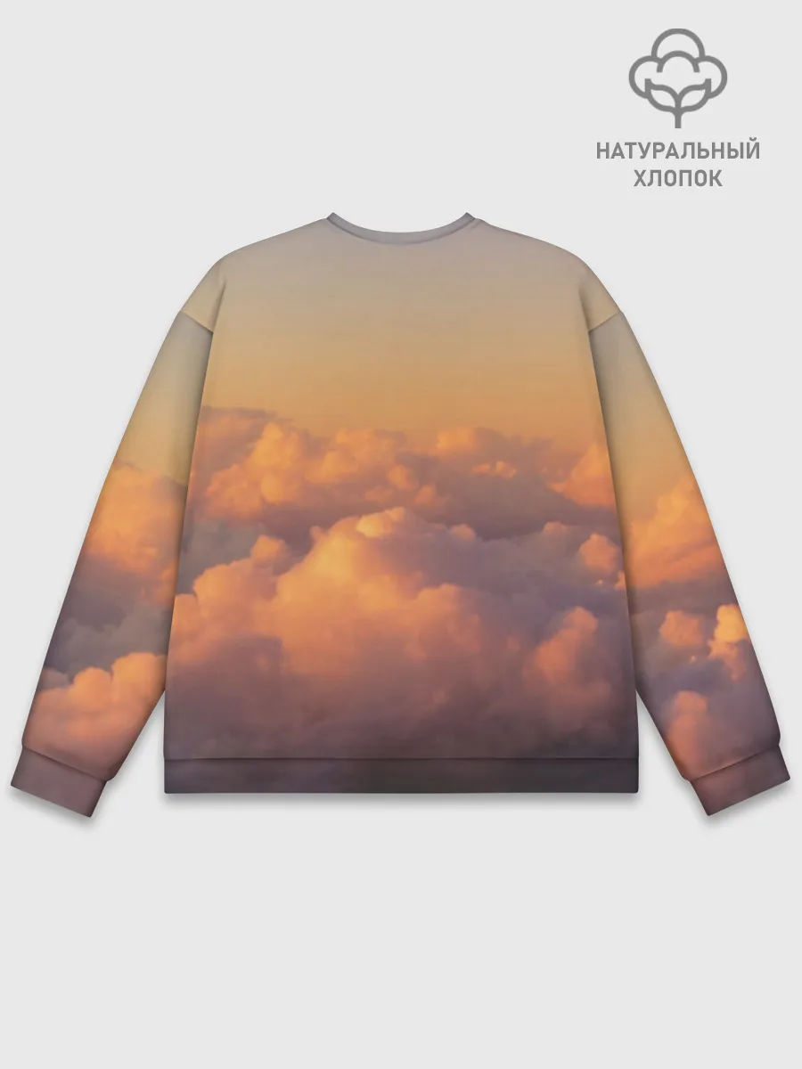 Мужской свитшот базовый / Ария