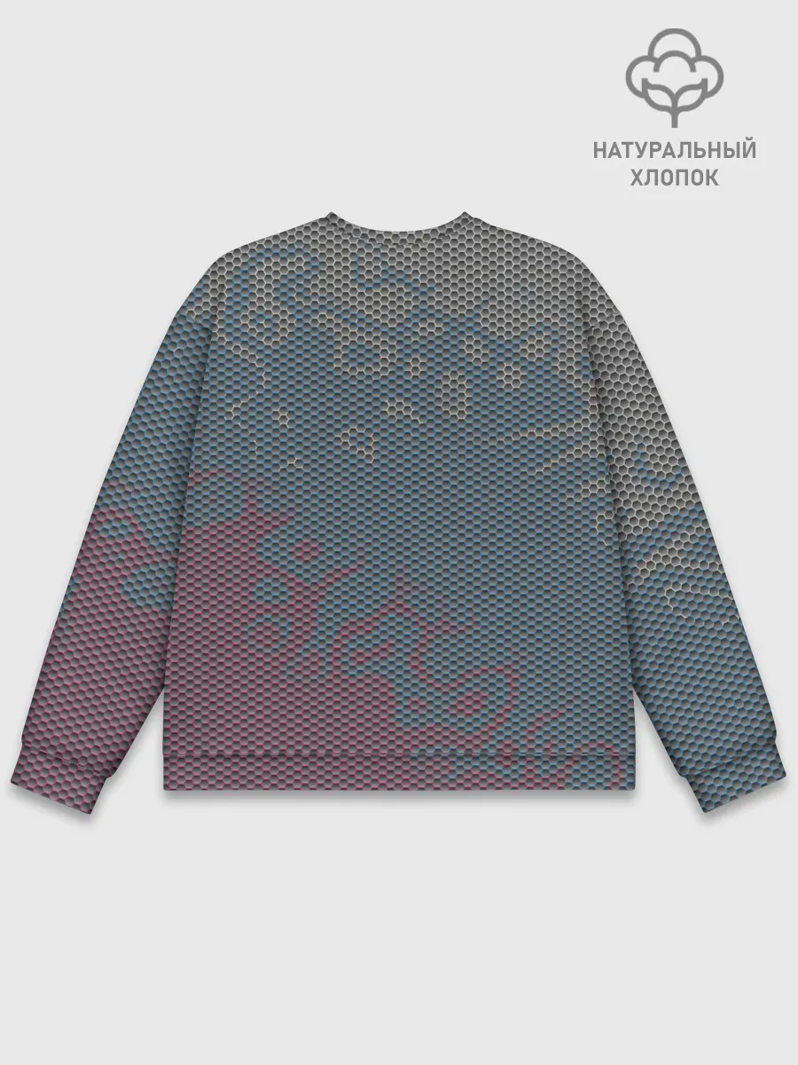 Мужской свитшот базовый / Hexagon Триколор