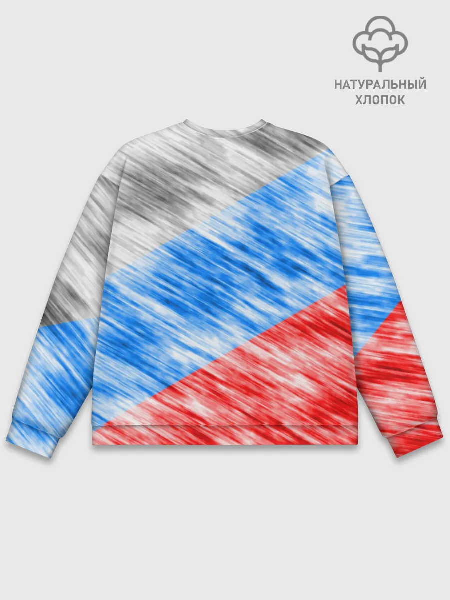 Мужской свитшот базовый / Российский флаг с гербом