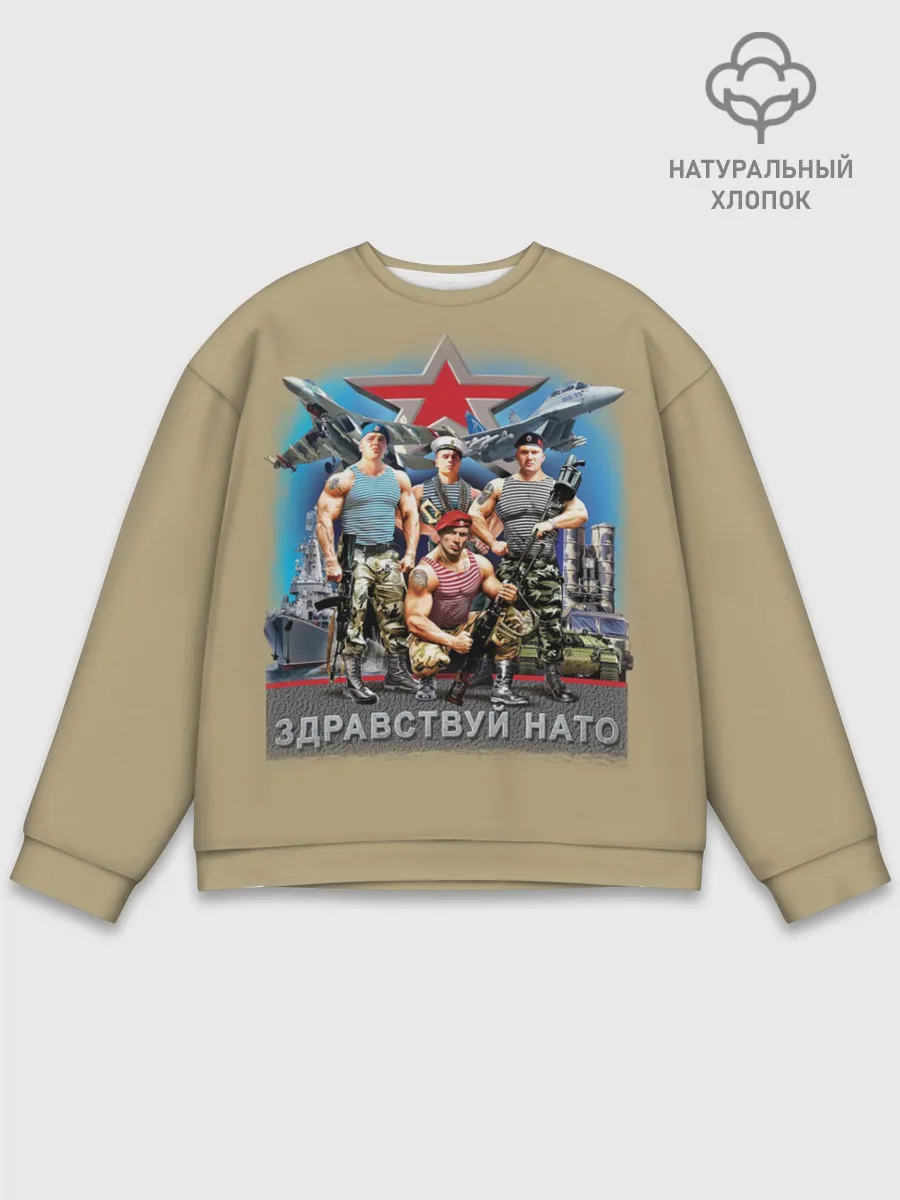 Мужской свитшот базовый / Здравствуй НАТО