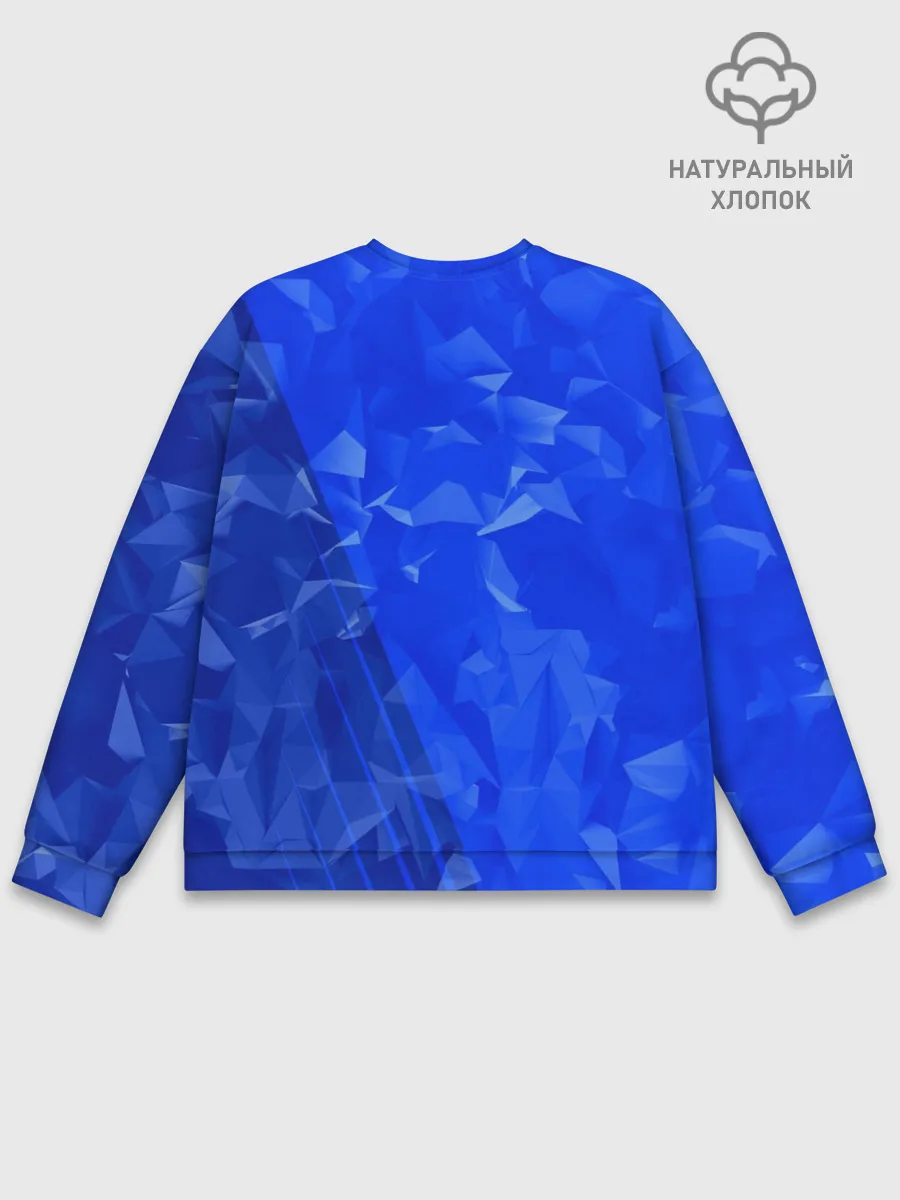 Мужской свитшот базовый / RUSSIA SPORT