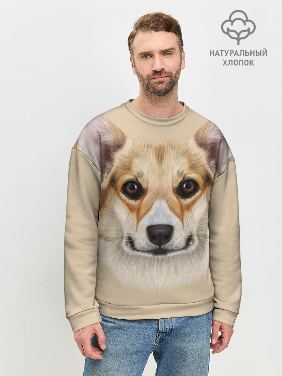 Мужской свитшот базовый / Pembroke