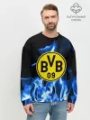 Мужской свитшот базовый / BORUSSIA