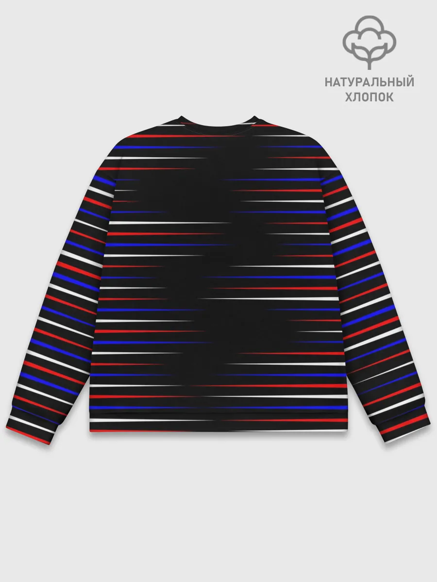 Мужской свитшот базовый / RUSSIA.