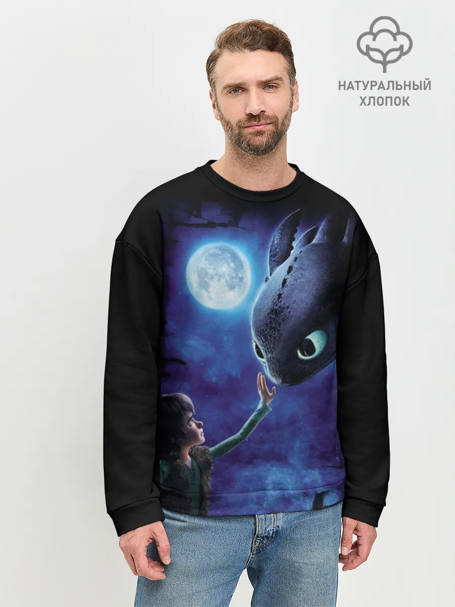 Мужской свитшот базовый / как приручить дракона