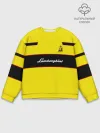Мужской свитшот базовый / Lamborghini