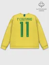 Мужской свитшот базовый / Coutinho home WC 2018