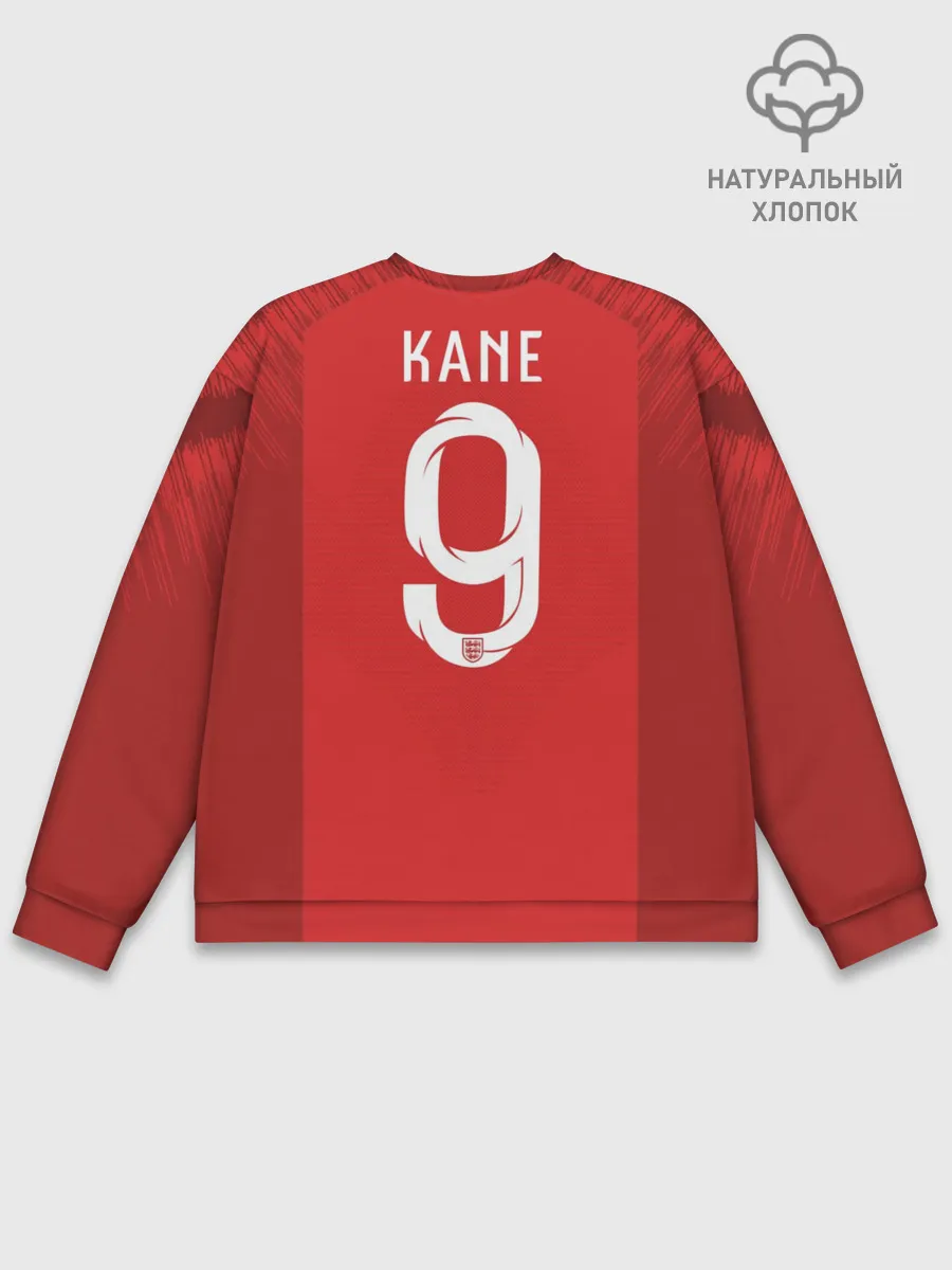 Мужской свитшот базовый / Kane away WC 2018