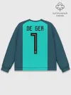 Мужской свитшот базовый / De Gea WC 2018