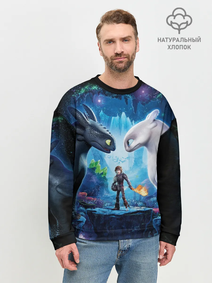 Мужской свитшот базовый / как приручить дракона