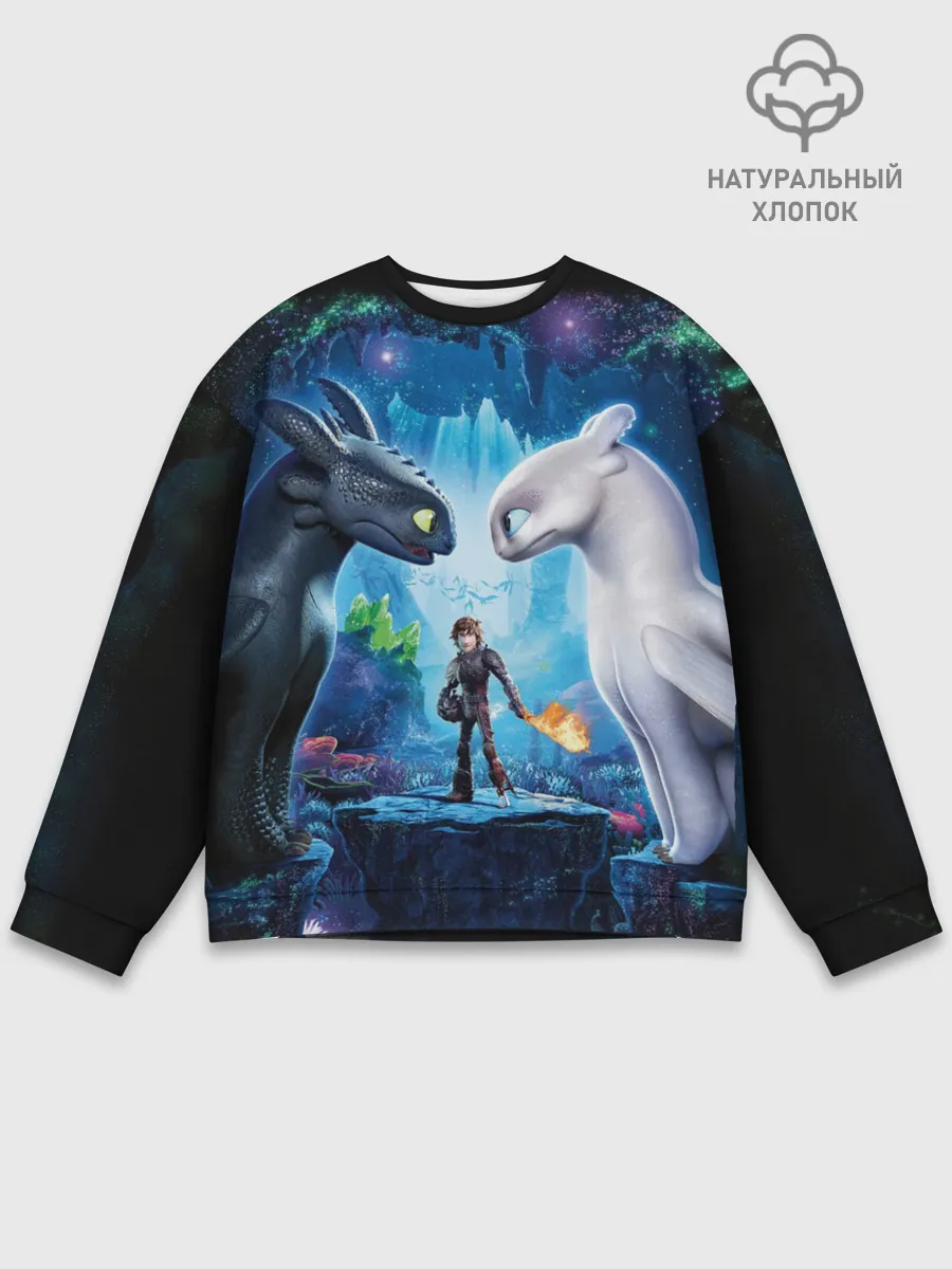 Мужской свитшот базовый / как приручить дракона