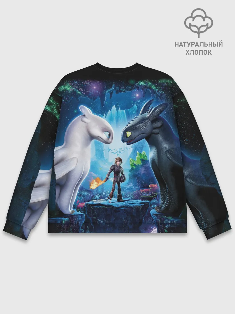 Мужской свитшот базовый / как приручить дракона