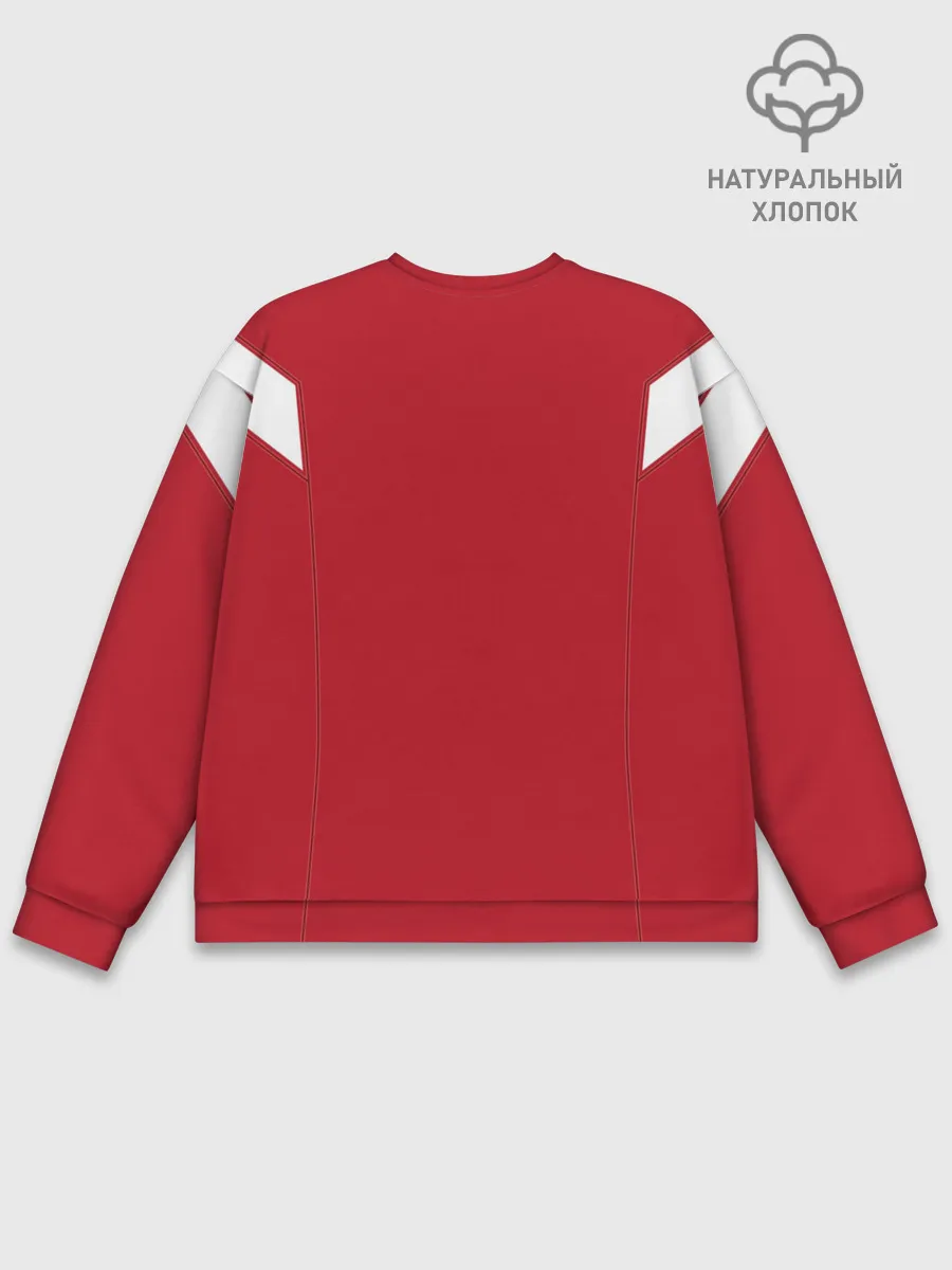 Мужской свитшот базовый / Сборная России 2018 Exclusive