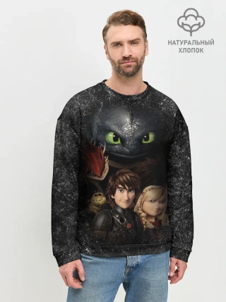 Мужской свитшот базовый / Беззубик и викинги