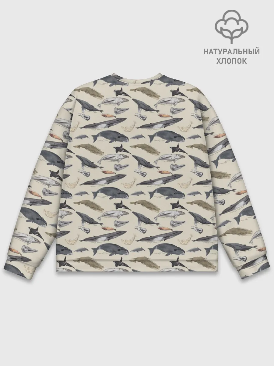 Мужской свитшот базовый / Whales pattern