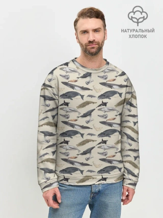 Мужской свитшот базовый / Whales pattern