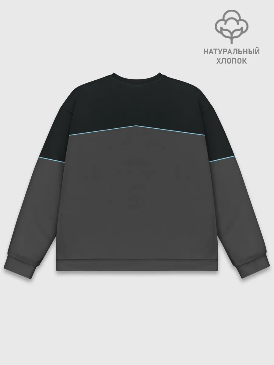 Мужской свитшот базовый / Detroit – AX400