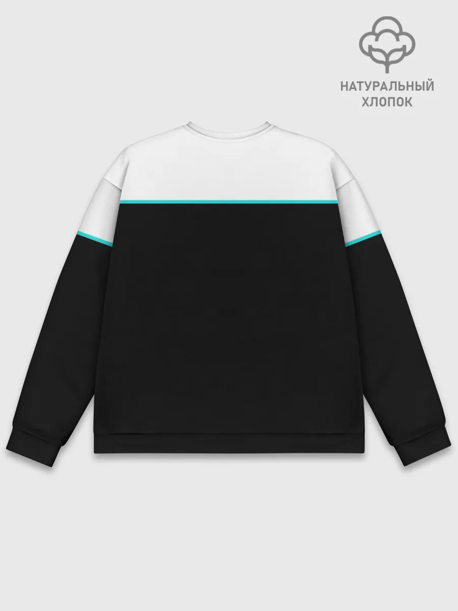 Мужской свитшот базовый / Detroit RK900