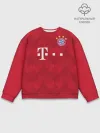 Мужской свитшот базовый / Bayern home 18-19