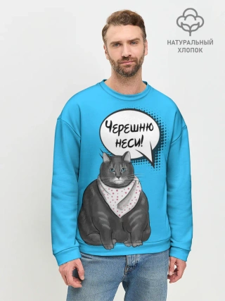 Мужской свитшот базовый / Толстый кот