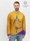 Мужской свитшот базовый / Lebron
