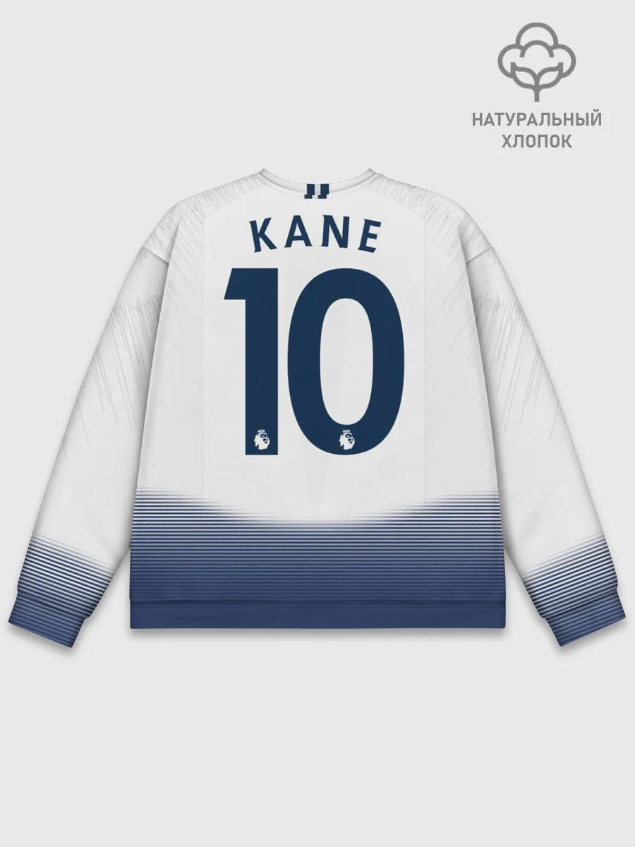 Мужской свитшот базовый / Kane home 18-19