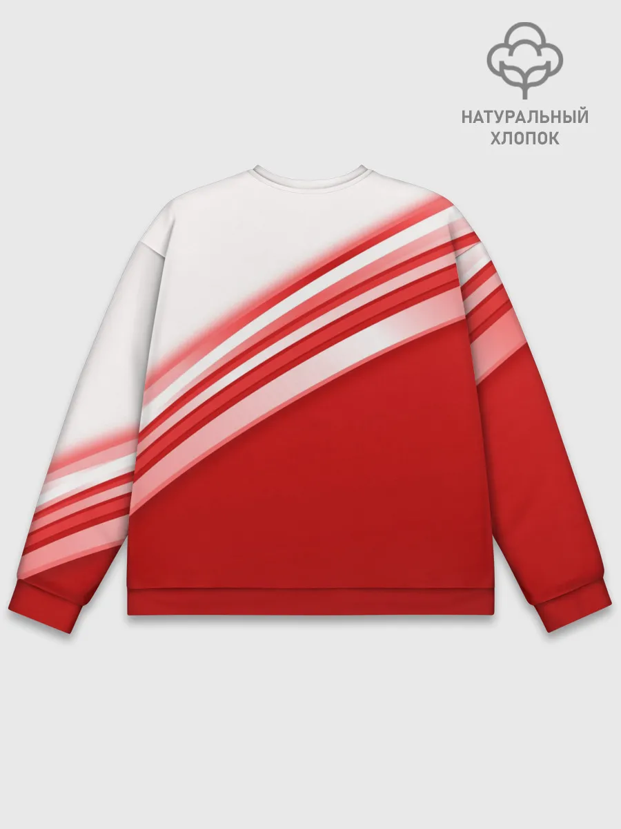 Мужской свитшот базовый / RUSSIA SPORT