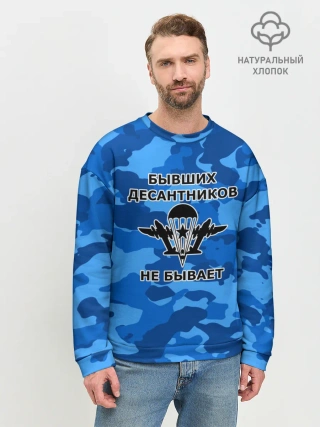 Мужской свитшот базовый / ВДВ