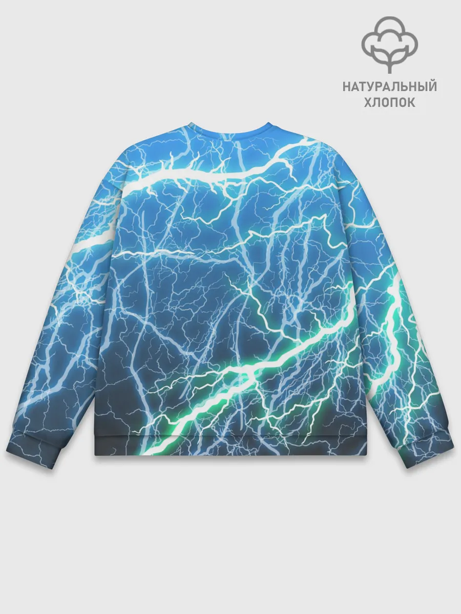 Мужской свитшот базовый / РАЗРЯДЫ МОЛНИЙ