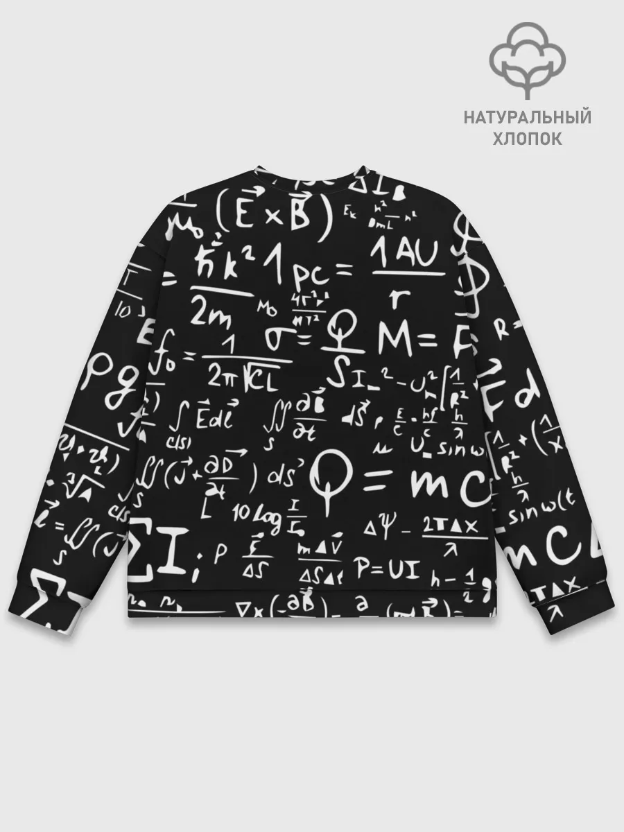 Мужской свитшот базовый / ФОРМУЛЫ ФИЗИКА