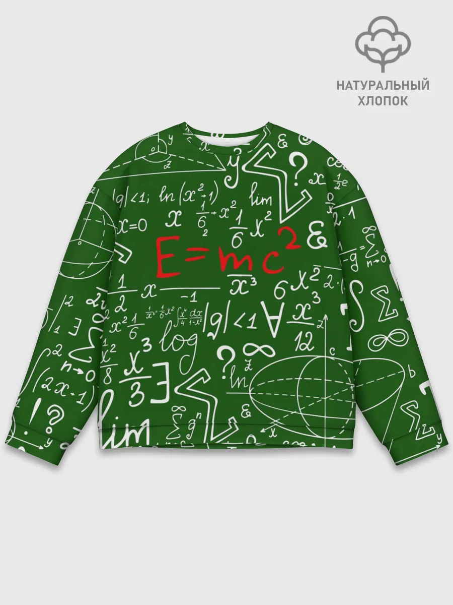 Мужской свитшот базовый / ФОРМУЛЫ ФИЗИКА