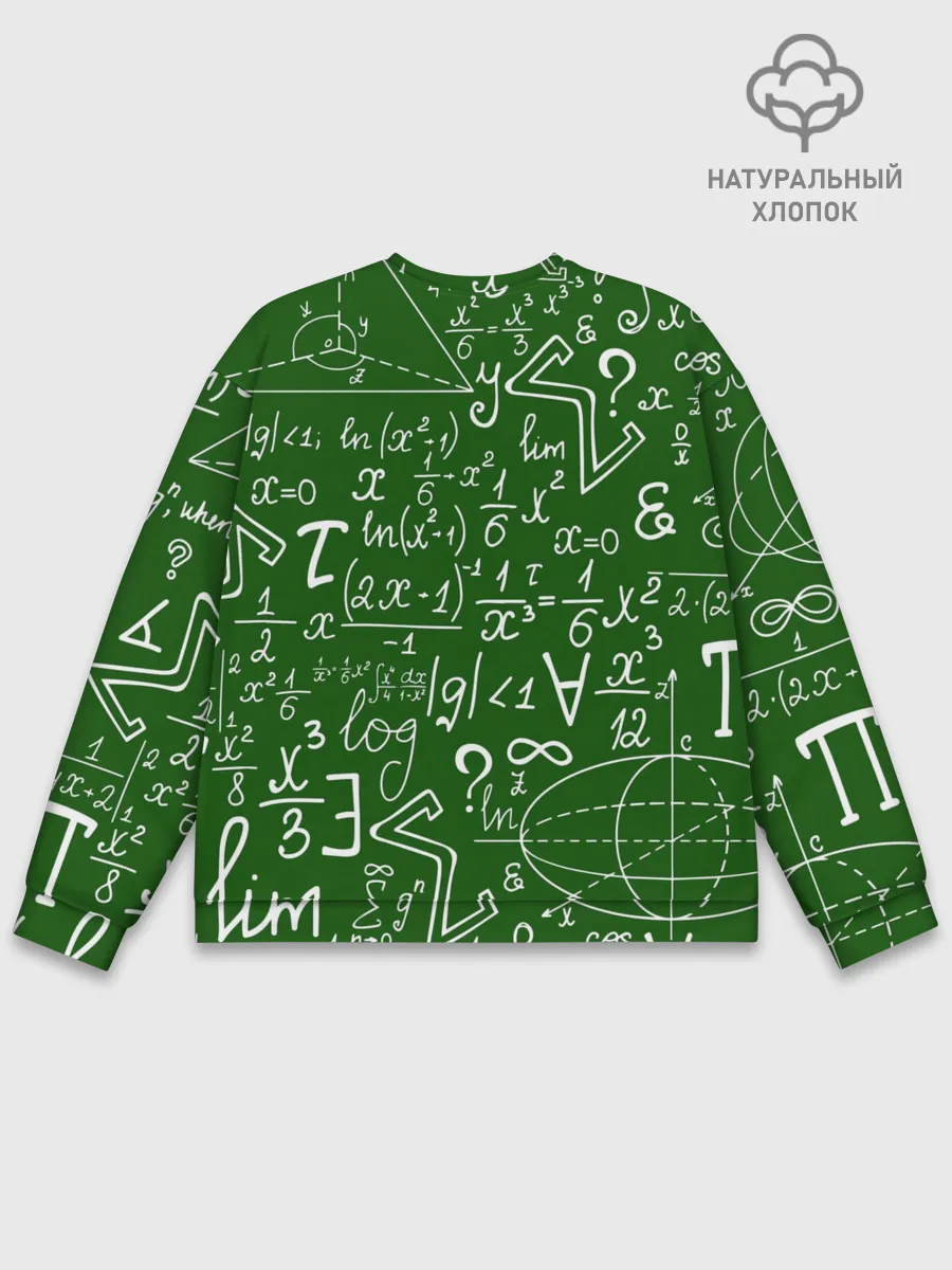 Мужской свитшот базовый / ФОРМУЛЫ ФИЗИКА
