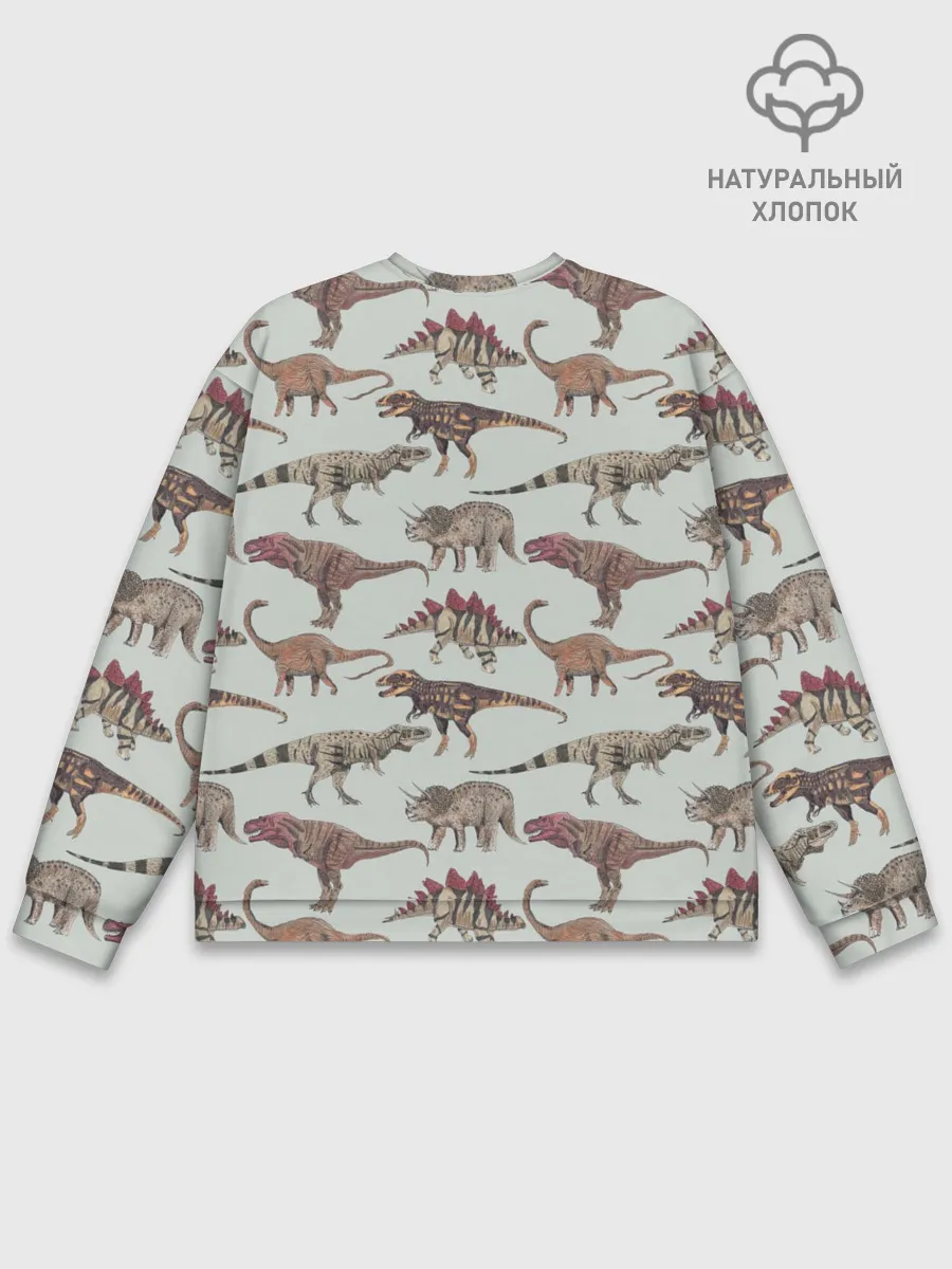 Мужской свитшот базовый / Динозавры