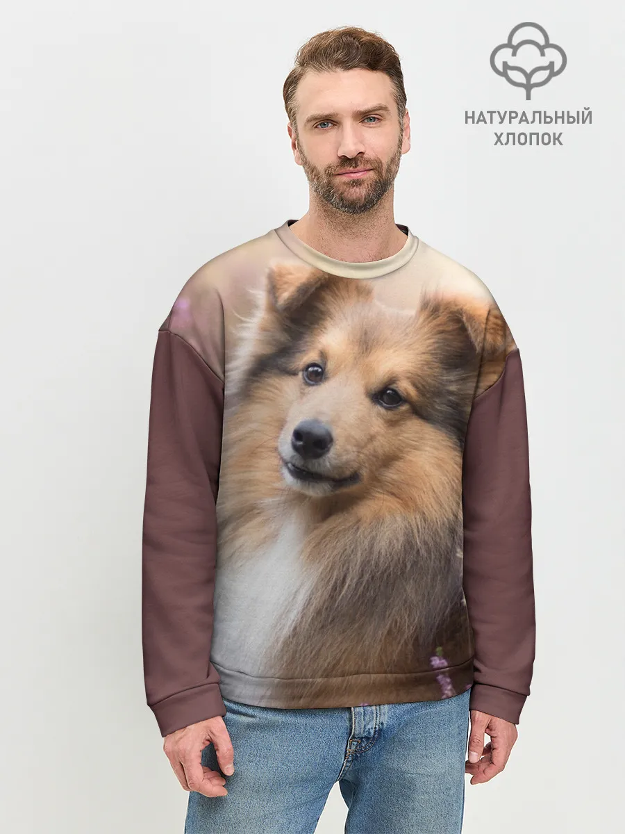 Мужской свитшот базовый / Шелти