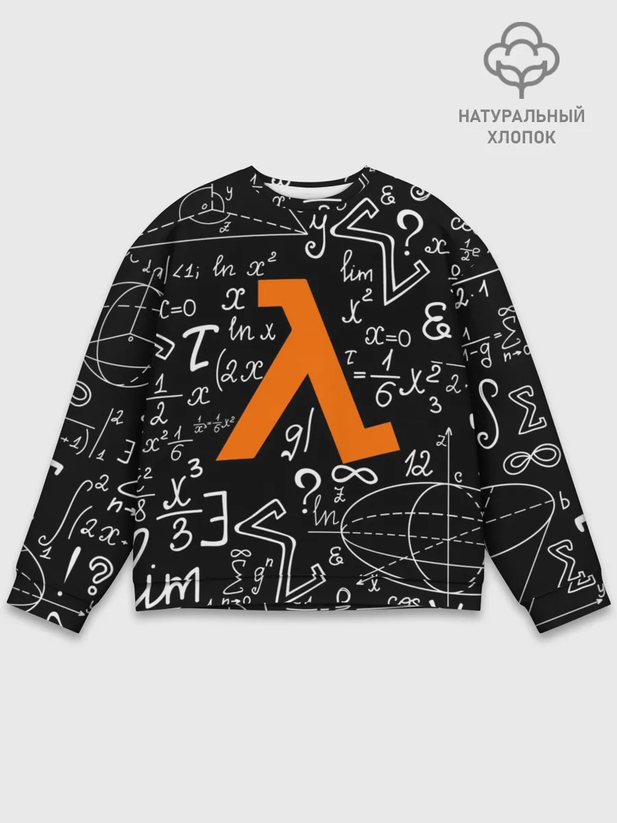 Мужской свитшот базовый / ФОРМУЛЫ ФИЗИКА ЛЯМБДА